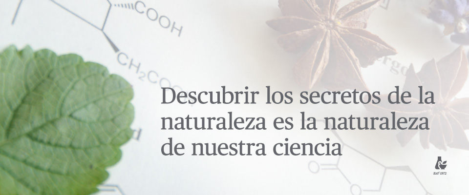 Click Here to Learn More